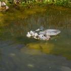 DSCN1525.JPG