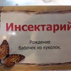КК№46.Парк тропических бабочек.62373