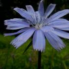 DSCN0577.JPG