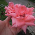 DSCN9899.JPG