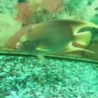 DSCN9952.JPG