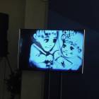 DSCN8776.JPG
