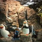 IMG_20171112_185449_HHT