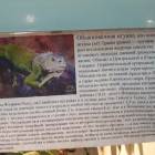 Выставка зоопарк "Живые тропики"60568