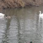 DSCN4921.JPG