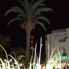 DSC_0443.JPG