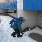 Кормушка для птиц128673