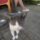 DSCN0588.JPG