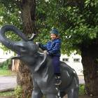 IMG_4175.JPG