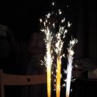 DSCN9528.JPG