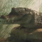 DSCN4830.JPG