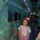 DSCN9906.JPG
