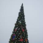 DSCN7027.JPG