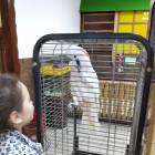 IMG_20181101_180745