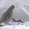 DSC04474.JPG
