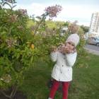 DSCN2446.JPG
