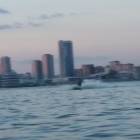20160718_195712