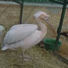 DSCN4965.JPG
