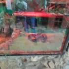 DSC05965.JPG