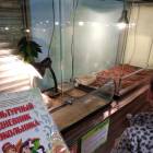 IMG_20181101_174520_BURST1