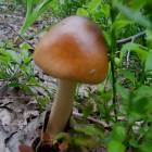 DSCN0615.JPG