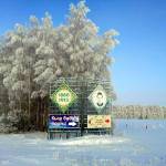 Я в Кырлае