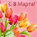 Самые теплые слова в адрес девочек