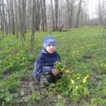 21 марта -Международный день лесов