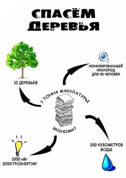 сдай макулатуру - спаси дерево!