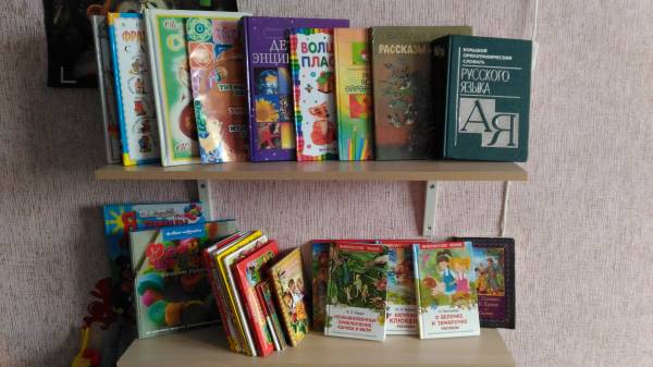мои книжные полки