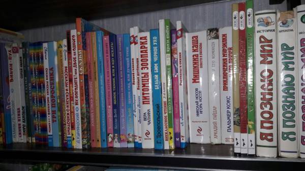 Моя книжная полка