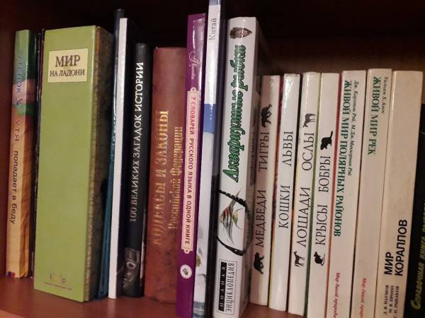 Моя книжная полка