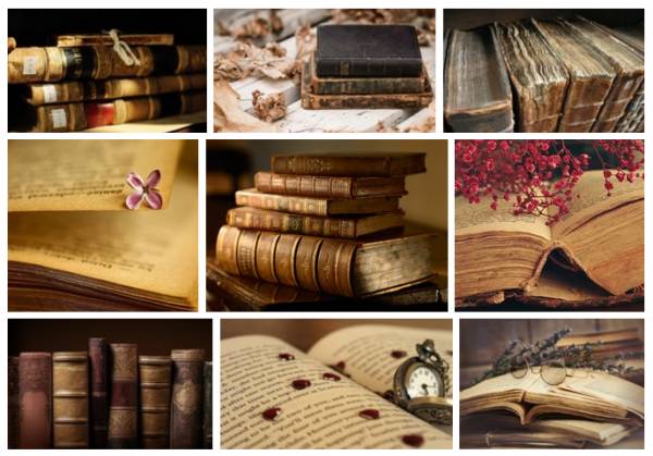 Моя книжная полка