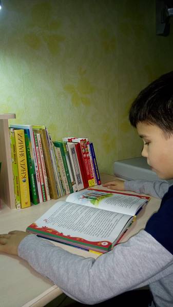 Моя книжная полка