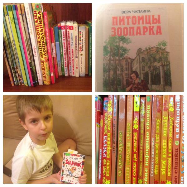 Моя книжная полка