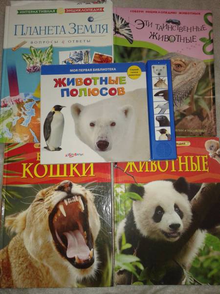 Моя книжная полка!