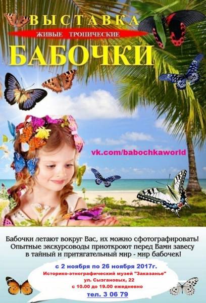Выставка бабочек