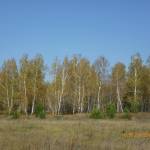 Яраткан авылым