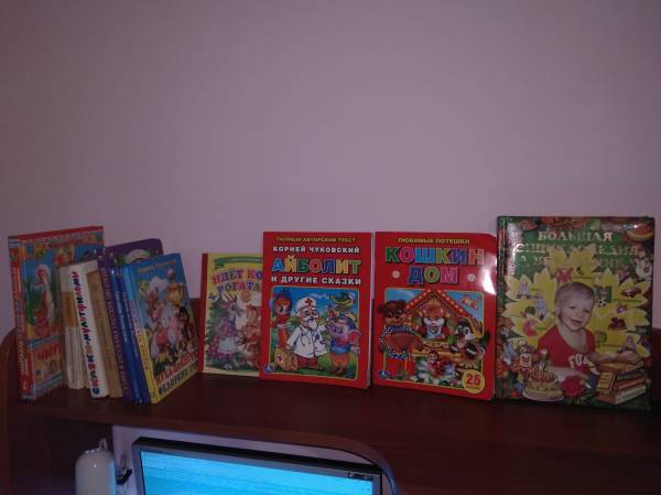 Книжная полка