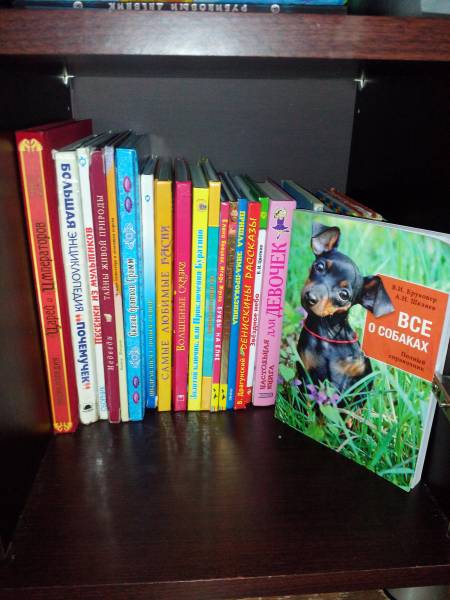книжная полка