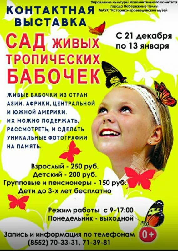 Сад живых тропических бабочек