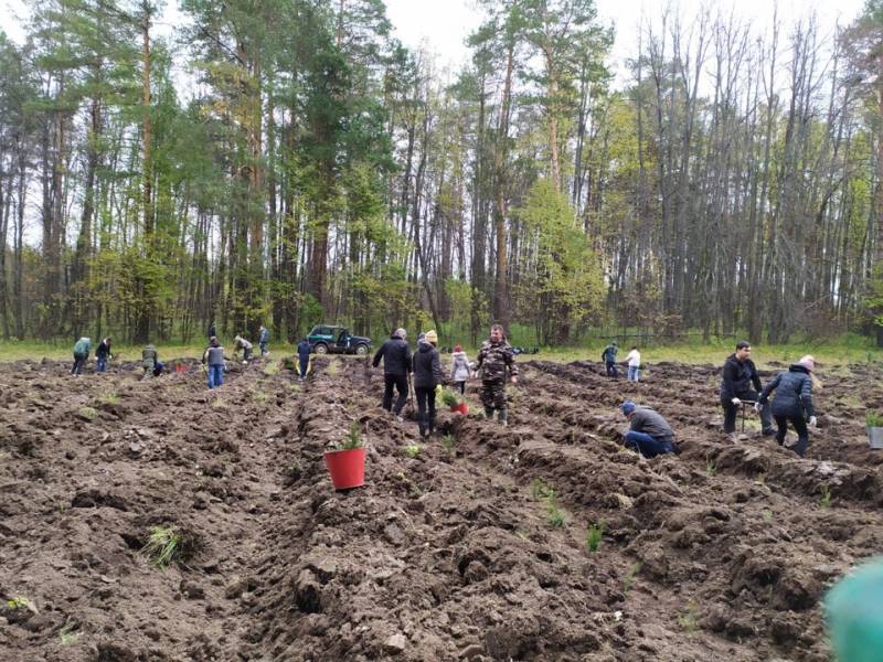Акция по посадке леса