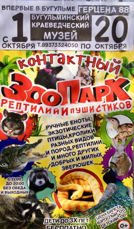 Контактный зоопарк в Бугульме!