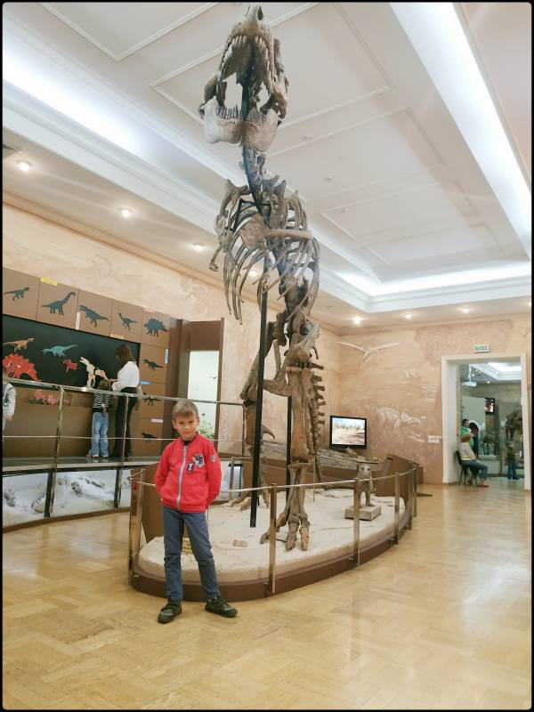 Музей естественной истории РТ