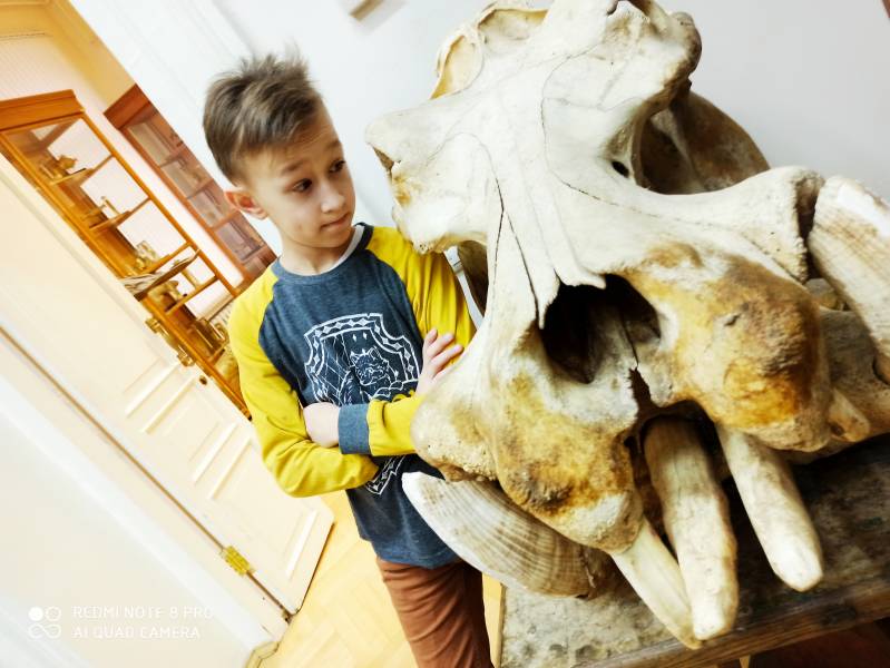 Зоологический музей имени Э.А.Эверсмана