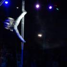 DSC07295.JPG
