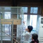 IMG_20181105_134535