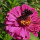 DSCN1511.JPG