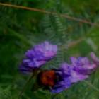 DSCN0363.JPG