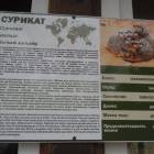 DSCN4813.JPG